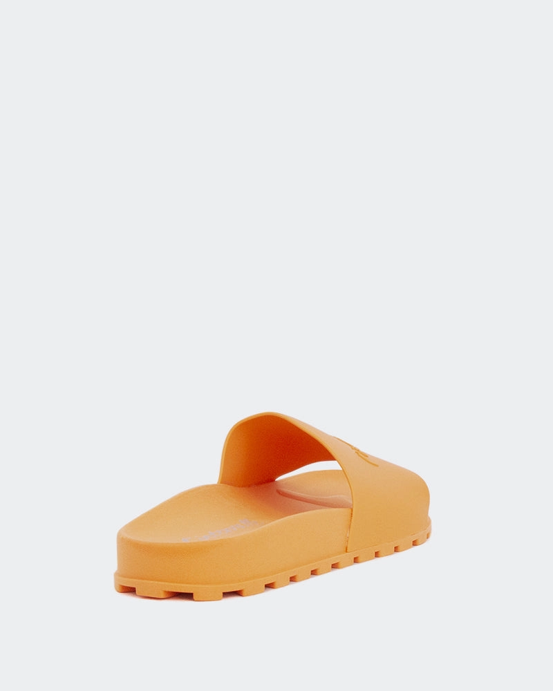 Gaina Orange