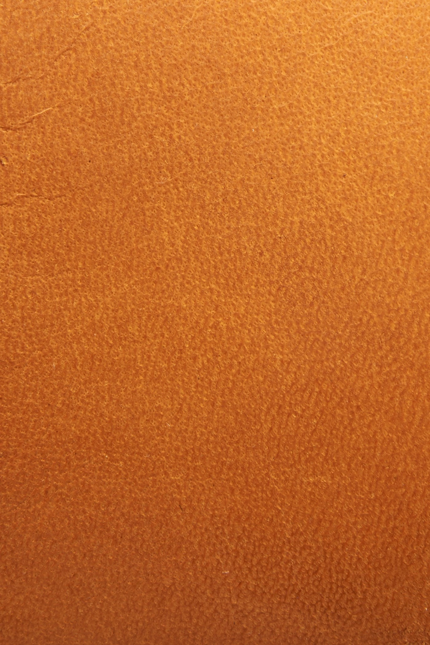 Lewis Venetian - Pre-Loved