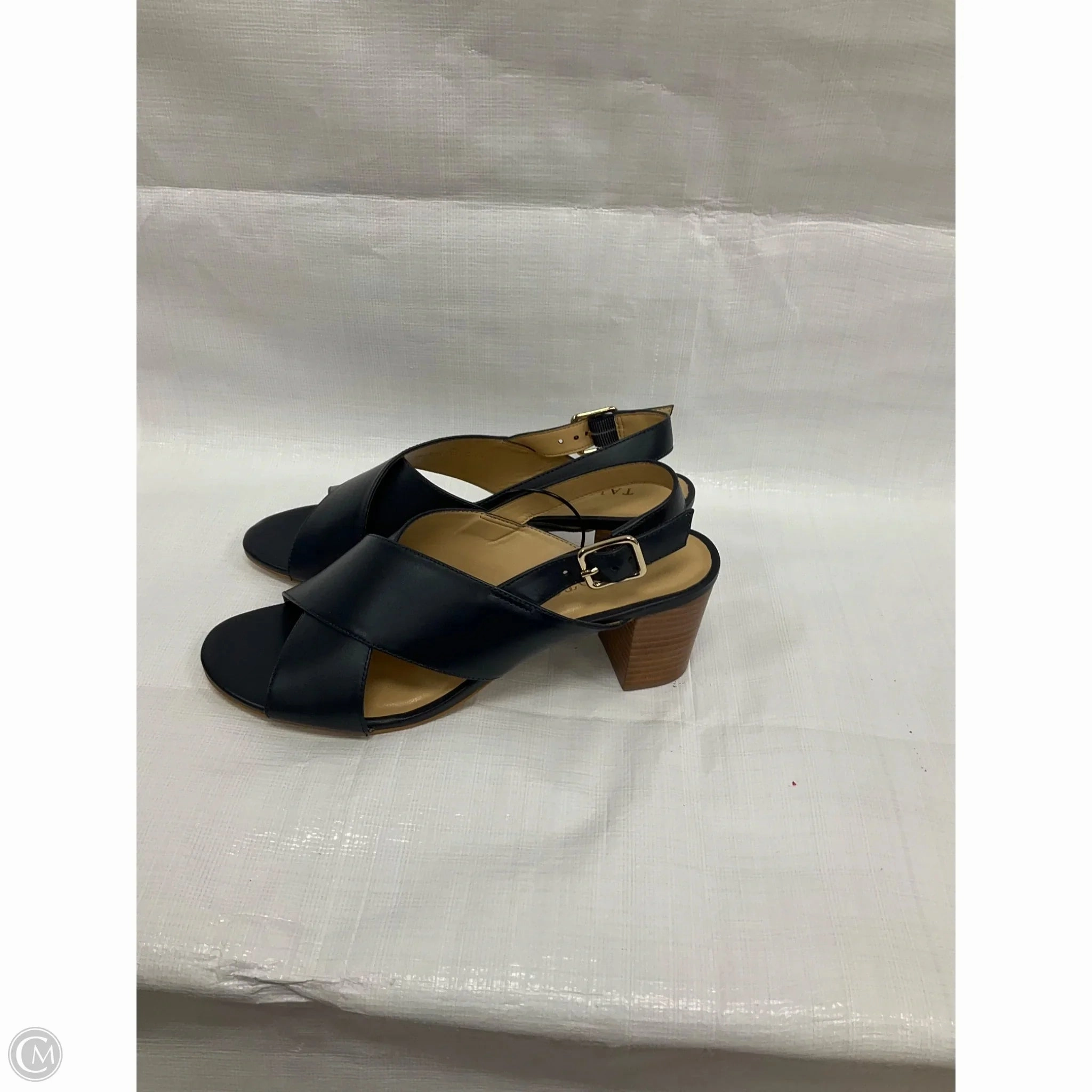 Shoes Heels Kitten By Talbots In Navy, Size: 8